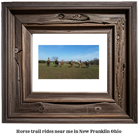 horse trail rides near me in New Franklin, Ohio